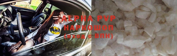 гашик Козловка