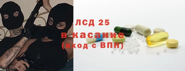 гашик Козловка