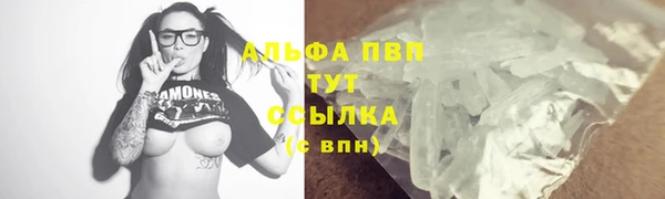 гашик Козловка