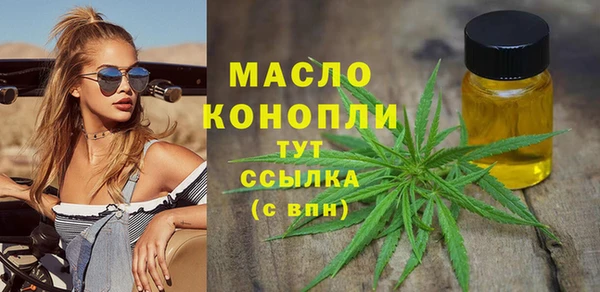 гашик Козловка