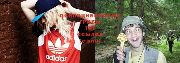 кокс Козельск