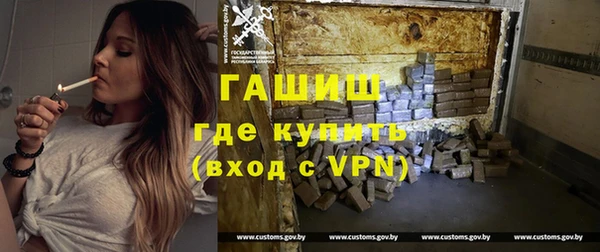 гашик Козловка