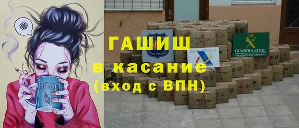 гашик Козловка