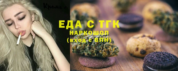 гашик Козловка